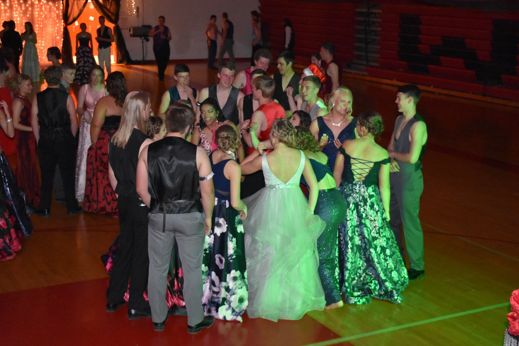 DSC_0246.JPG